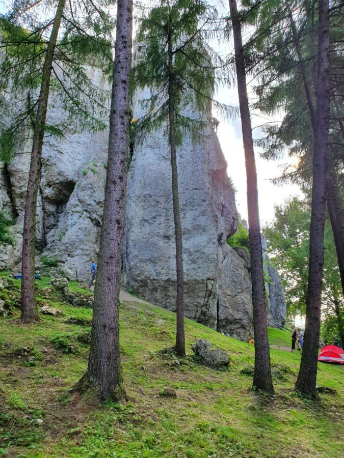 Pokoje Przy Zamku Podzamcze  Bagian luar foto