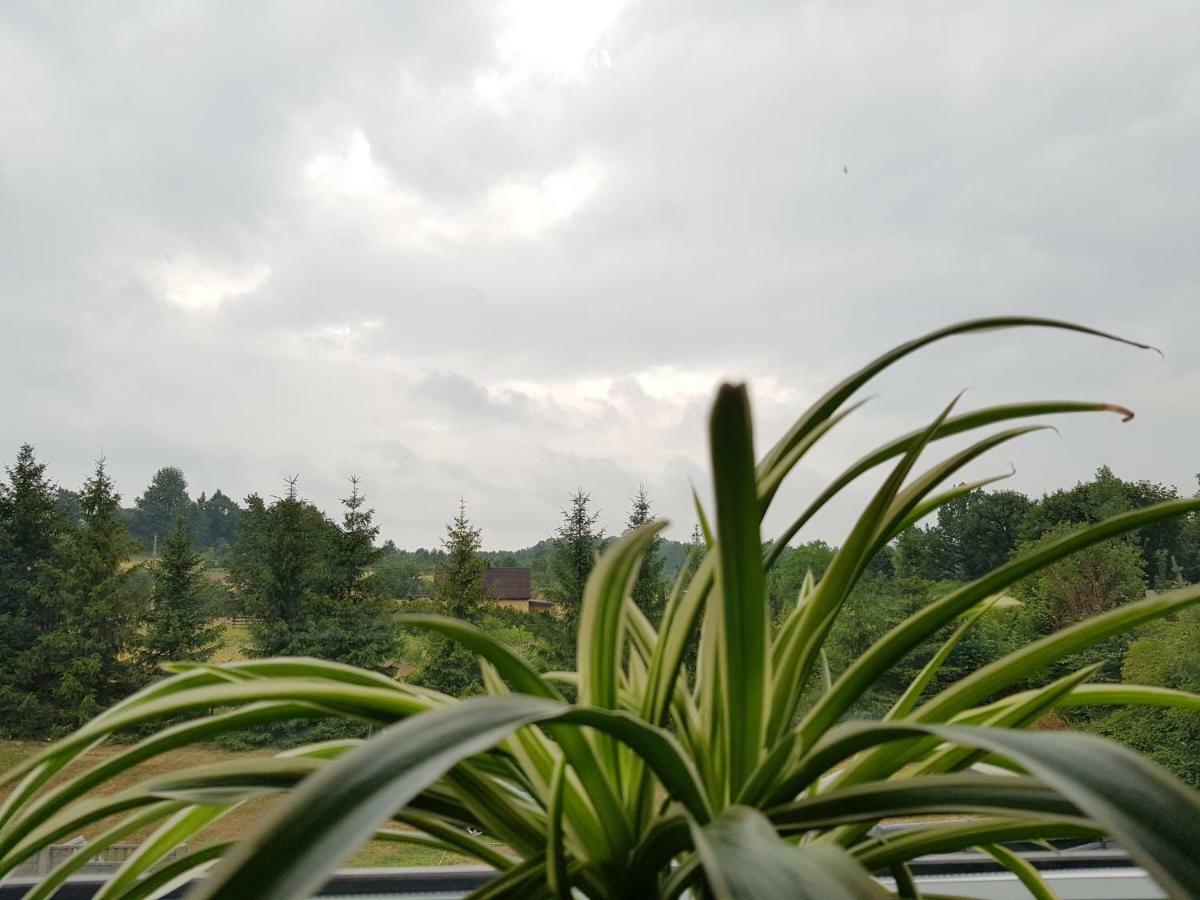 Pokoje Przy Zamku Podzamcze  Bagian luar foto