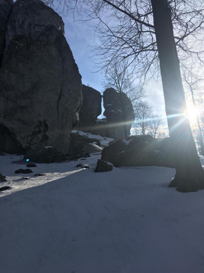 Pokoje Przy Zamku Podzamcze  Bagian luar foto