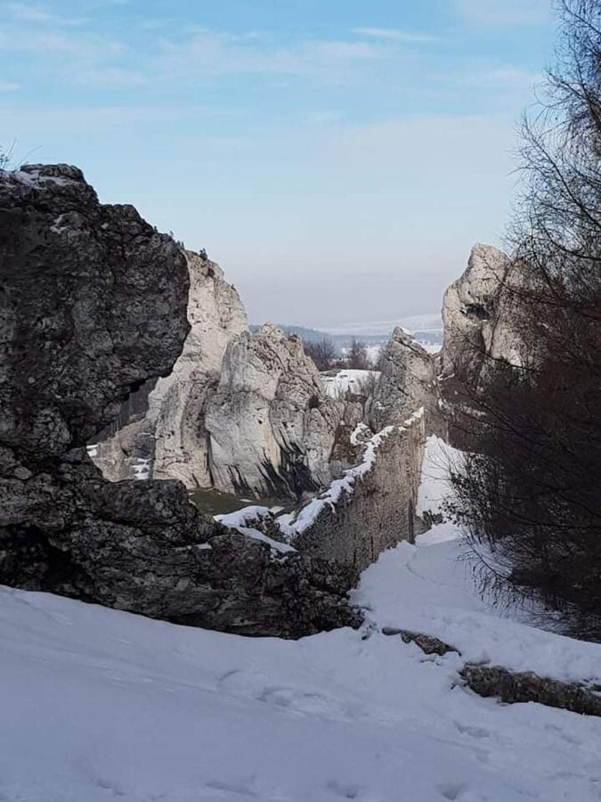 Pokoje Przy Zamku Podzamcze  Bagian luar foto