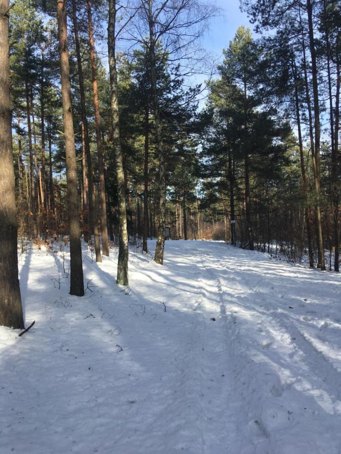 Pokoje Przy Zamku Podzamcze  Bagian luar foto