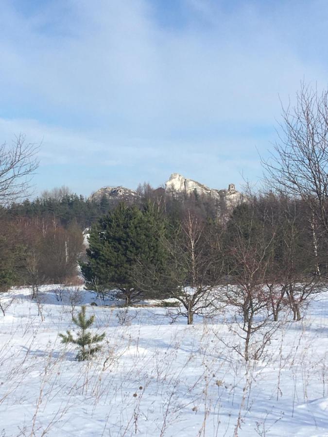 Pokoje Przy Zamku Podzamcze  Bagian luar foto