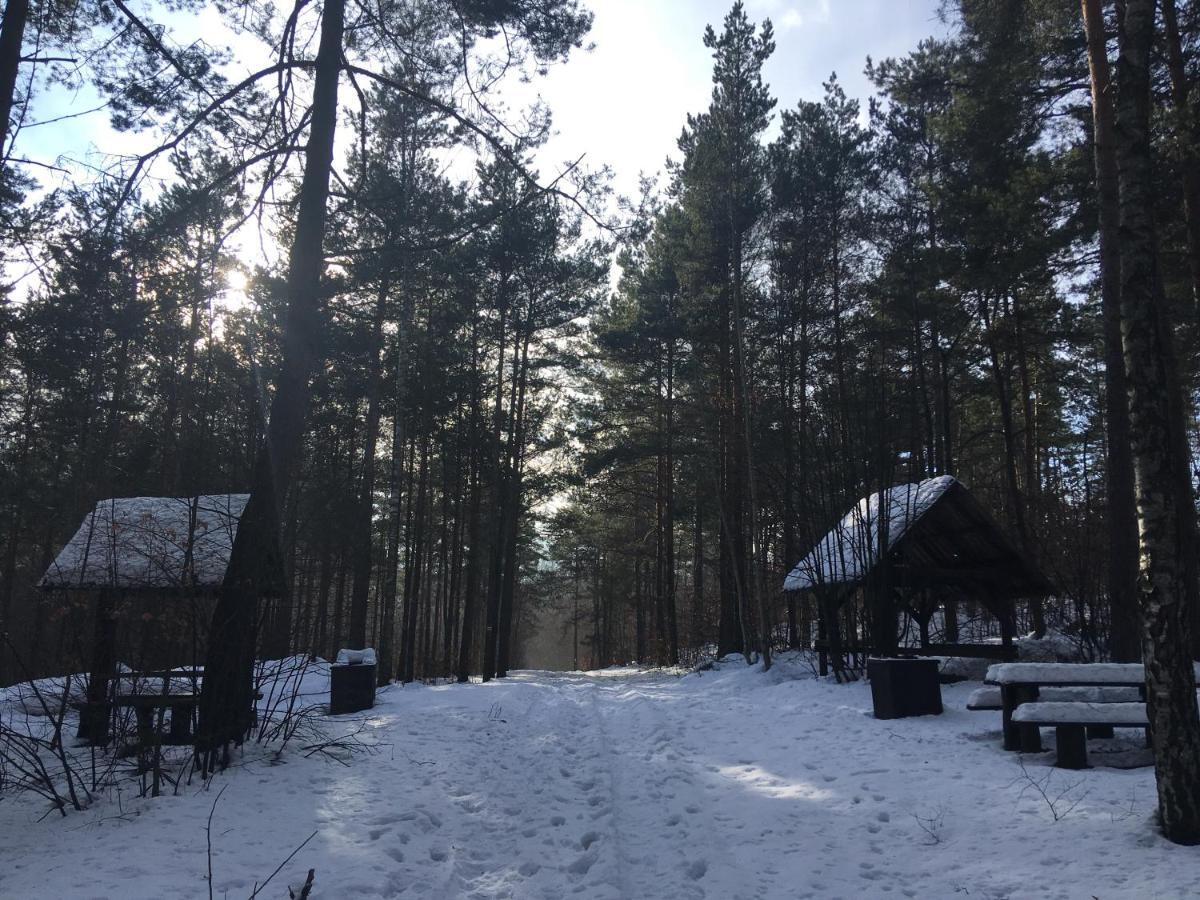 Pokoje Przy Zamku Podzamcze  Bagian luar foto