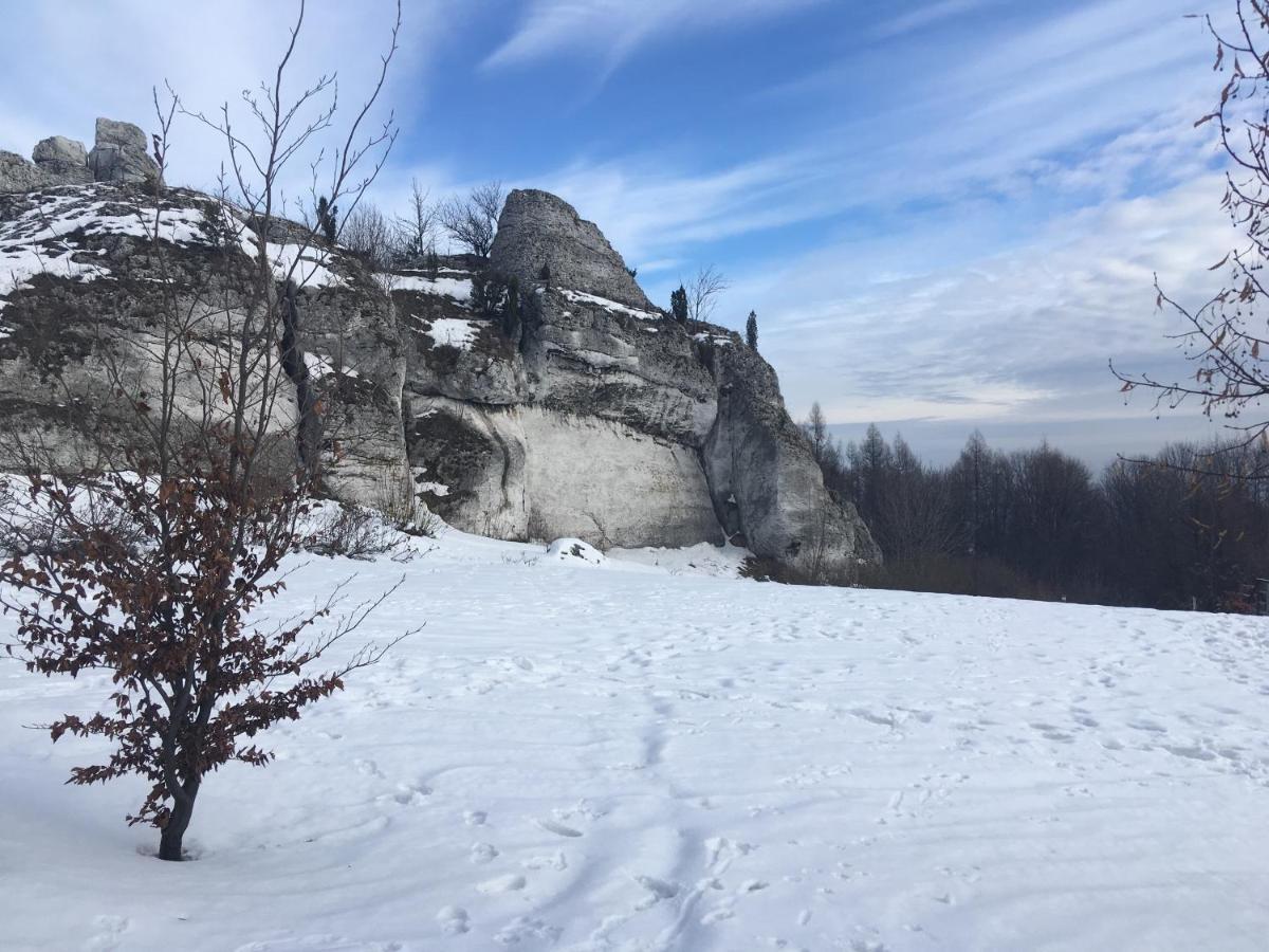 Pokoje Przy Zamku Podzamcze  Bagian luar foto