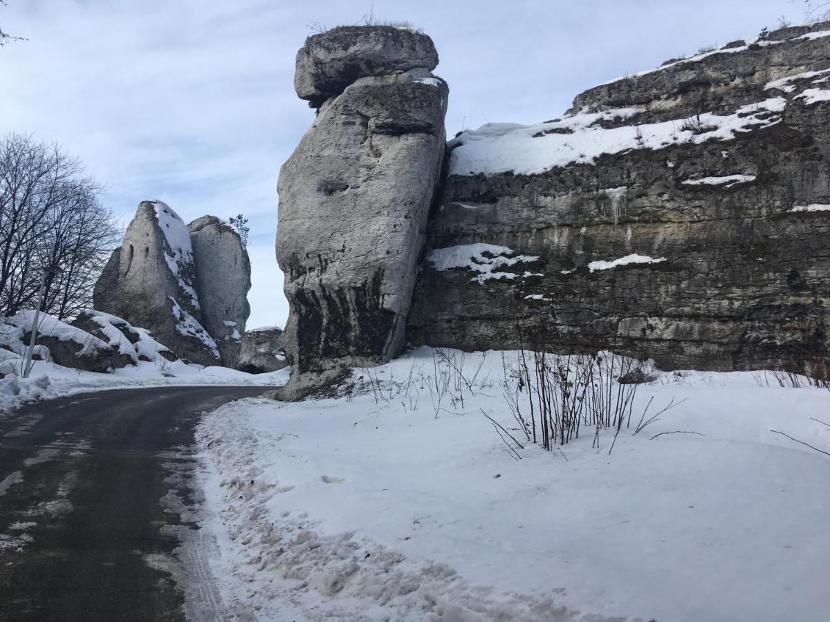 Pokoje Przy Zamku Podzamcze  Bagian luar foto