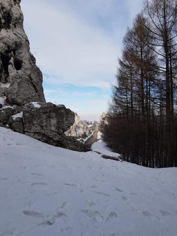 Pokoje Przy Zamku Podzamcze  Bagian luar foto